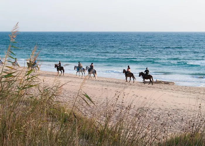 Huttopia Parque De Donana
